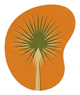 A yucca plant inside an orange kidney-bean shape